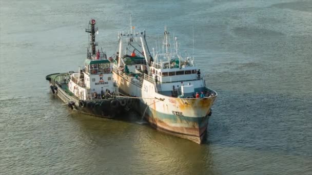 当地捕鱼和拖船中枪抵达蒙得维的亚港乌拉圭南美洲在日落日出 — 图库视频影像