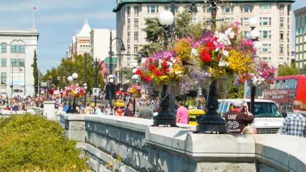 Victoria Flowers City Street Close Scene Tourrists Sunny Day Walking — стоковое видео