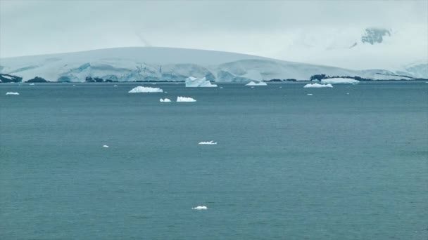 Ambiente Surreal Antártico Com Gelo Flutuante Onde Oceano Antártico Congelado — Vídeo de Stock