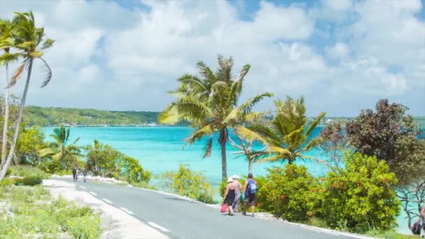 Ostrov Lifou Nová Kaledonie Turisty Pěšky Plážové Cestě Slunečného Dne — Stock video