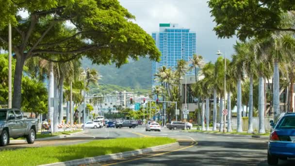 Honolulu Hawaii Tropical City Transportation Downtown Cars Driving Green Trees — Stock Video