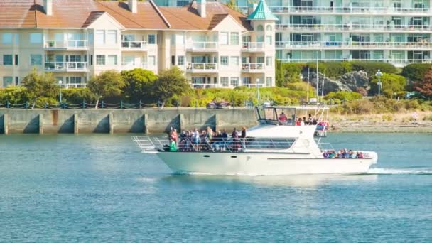 Neznačená Vyhlídkové Čluny Turisty Exkurzi Victorii Kanada Dobrým Počasím Plachtění — Stock video