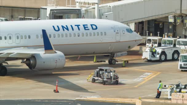 United Airlines 737 Kommerzielle Düsenflugzeuge Parken Auf Einem Interkontinentalen Flughafen — Stockvideo