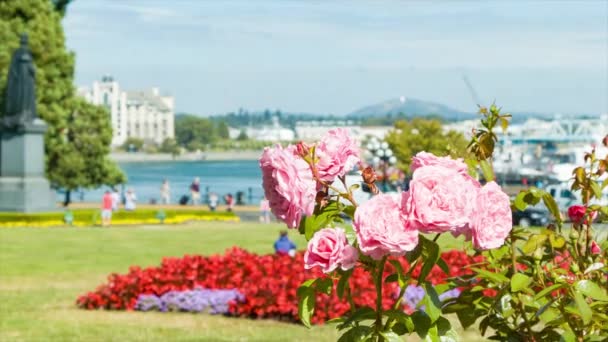 Victoria Gardens Parlamencie Budynki Popularna Atrakcja Turystyczna Ludźmi Chodzenie Wokół — Wideo stockowe