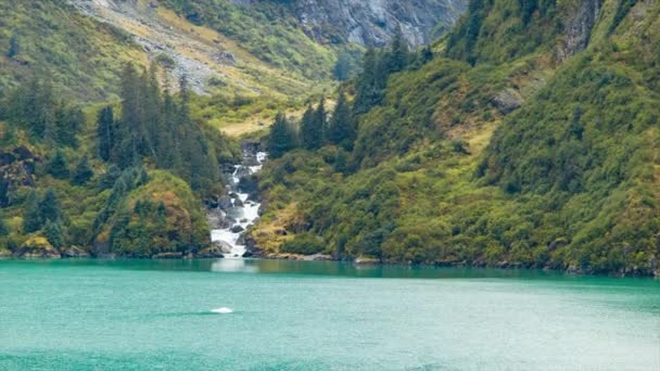 Vodopád Březích Fjordu Tracy Arm Aljašce Proudící Údolí Dolů Vody — Stock video