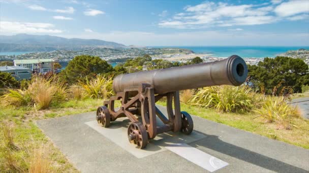 Wellington Nya Zeeland Gamla Kanon Mount Victoria Nära Turistattraktion Lookout — Stockvideo