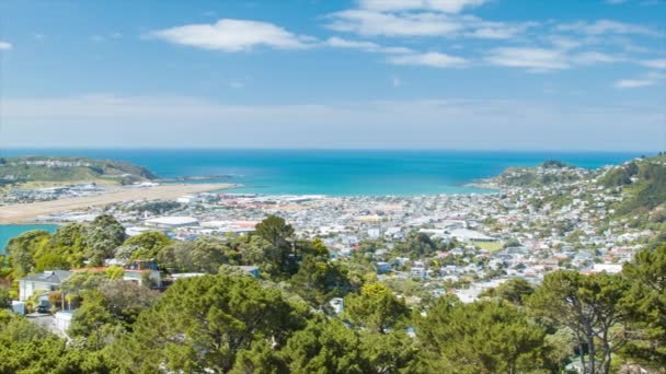 Wellington Nowa Zelandia Wide Shot Panoramowanie Nad Lyall Bay Międzynarodowego — Wideo stockowe