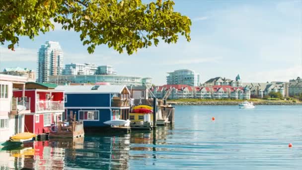 Picturesque Victoria Brittiläinen Kolumbia Kanada Inner Harbour Kelluva Homes Pitkin — kuvapankkivideo