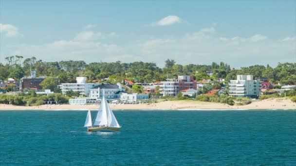 南美洲海滨物业在乌拉圭与帆船在大西洋蓝水在南美洲完美的阳光天气 — 图库视频影像