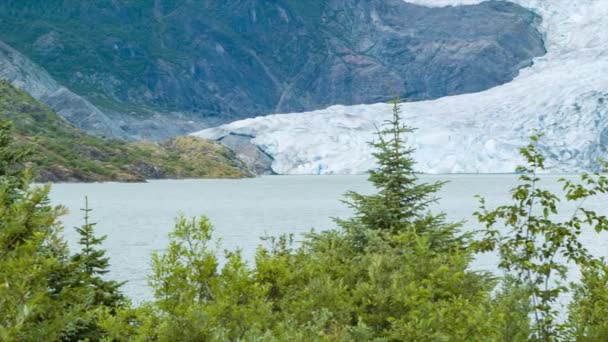 Panning Mendenhall Glaciar Juneau Alaska Com Verde Exuberante Tongass National — Vídeo de Stock