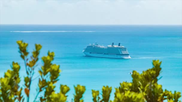 パインニューカレドニア島に停泊するクルーズ船 前景に手を振る熱帯緑の植物とガ山から見た — ストック動画