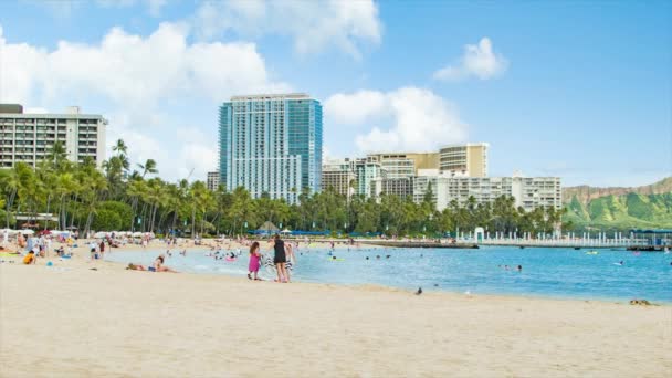 Tempo Libero Waikiki Beachfront Honolulu Hawaii Con Persone Visita Atmosfera — Video Stock