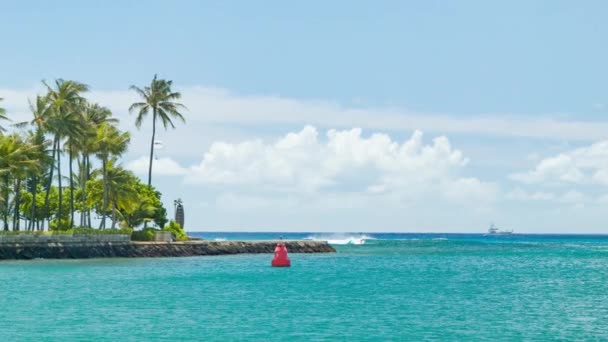 Honolulu Hawaii Tropische Oceaan Waterkant Met Groene Palm Bomen Met — Stockvideo