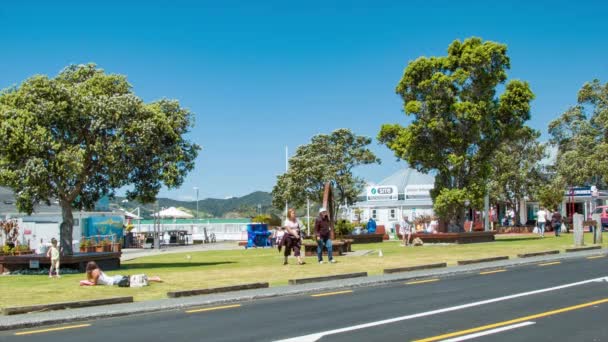 Bay Islands Pahia Locals Tourists Enjoying Waterfront Park Sunny Day — Stok Video