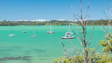 Adalar Körfezi'nde Yelkenli Tekneler Yeni Zelanda Güneşli Hava ile Paihia Town görüntülendi