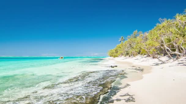 砂の上に壊れる明確なターコイズブルーの水とミステリーアイランドバヌアツトロピカルビーチシーン — ストック動画