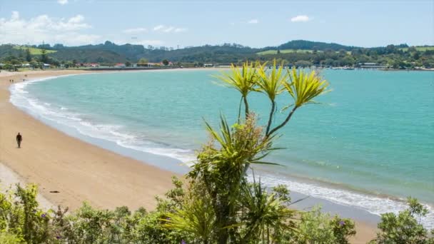 Bay Beach Öböl Szigetek Zéland Között Waitangi Paihia Emberek Séta — Stock videók