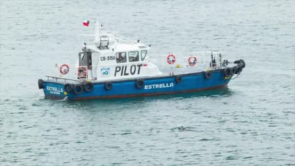Valparaiso Chile Port Pilot Båt Närbild Den Sydamerikanska Kommersiella Hamnen — Stockvideo