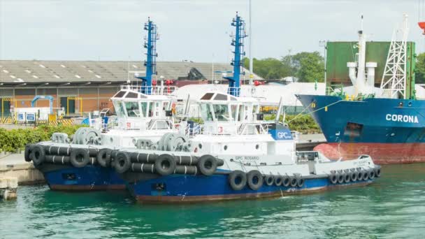 Cartagena Colombia Bogserbåtar Dockad Den Kommersiella Hamnen Den Centrala Amerikanska — Stockvideo