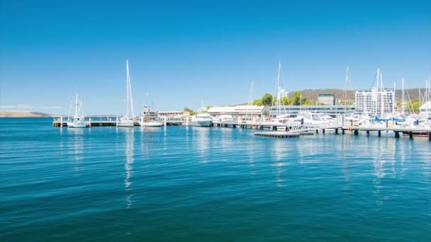 Hobart Tasmanie Île Australie Port Marina Vibrant Coloré Eau Soleil — Video