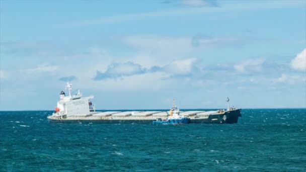 Oljetanker Last Freighter Fartyg Strandsatta Havet Solig Dag Det Blå — Stockvideo