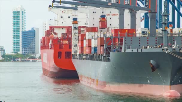 Container Schepen Worden Geladen Door Stalen Kranen Close Detail Haven — Stockvideo