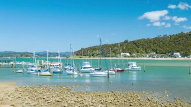 Güneşli Bir Günde Waitangi Marina Limanı'nda Adalar Körfezi Yeni Zelanda Tekneler