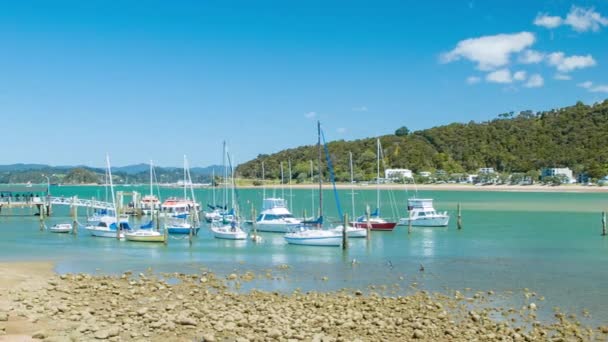Bay Islands New Zealand Boats Waitangi Marina Harbour Sunny Day — Stock Video