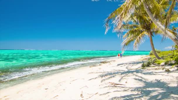 Таємниця Острова Вануату Туристична Пара Приймаючи Романтичну Прогулянку Екзотичному Пляжі — стокове відео