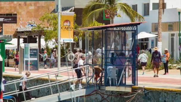 Cabo San Lucas Bustling Harbor Marina Scene Lähikuva Veneitä Ihmisiä — kuvapankkivideo