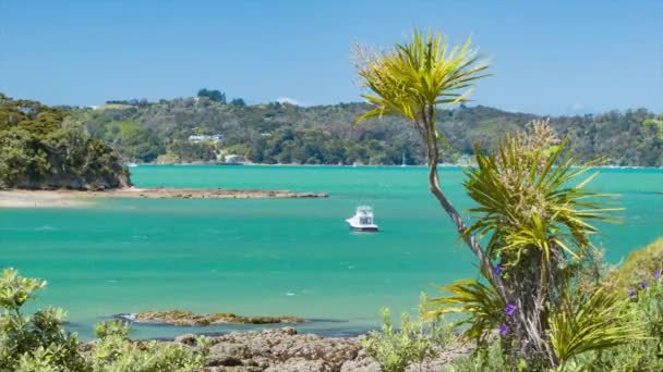 Bahía Las Islas Nueva Zelanda Vibrante Escena Naturaleza Con Barco — Vídeos de Stock