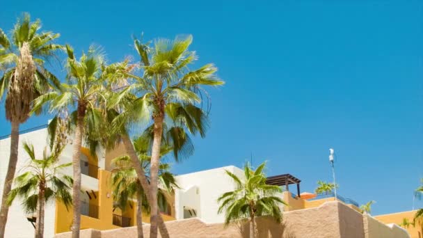 Edificio Condominios Estilo Mexicano Cabo San Lucas Con Palmeras Cielo — Vídeos de Stock