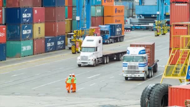 Camiones Conducen Entre Contenedores Transporte Marítimo Puerto Valparaíso Chile América — Vídeo de stock
