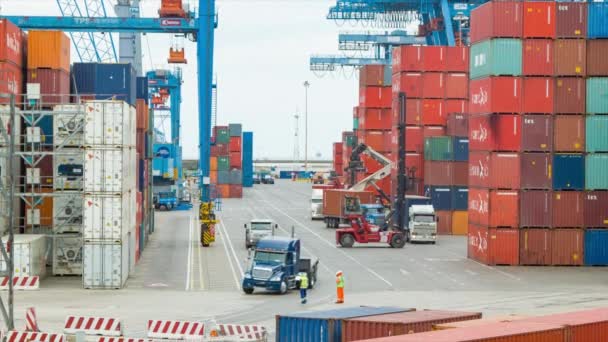 Λιμάνι Βαλπαραΐσο Χιλή Δουλεύοντας Εμπορευματοκιβώτια Μεταφοράς Φορτίου Φορτηγά Και Οχήματα — Αρχείο Βίντεο