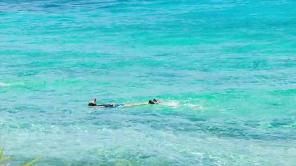 バヌアツの晴れた日に鮮やかな色でピンクの砂に壊れる熱帯の透明な水とエキゾチックなビーチフロントクローズアップ — ストック動画
