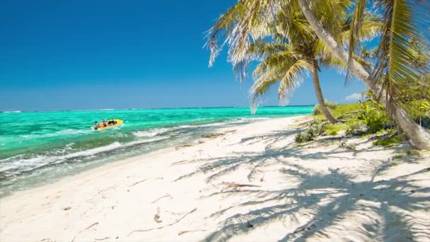 神秘岛瓦努阿图游览船通过异国情调的海滨设置与充满活力的色彩在热带蓝水和绿色棕榈树在沙滩 — 图库视频影像
