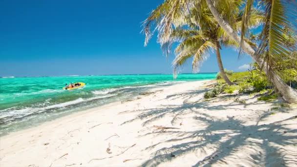 Mystery Island Vanuatu Utflykt Båt Passerar Exotiska Strandmiljö Med Livfulla — Stockvideo