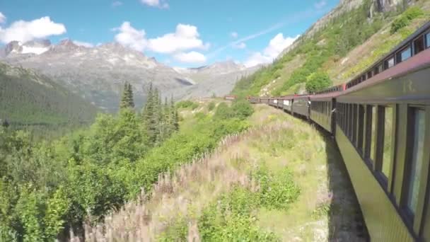 White Pass Yukon Route Railroad Train Rit Landschap Een Zonnige — Stockvideo