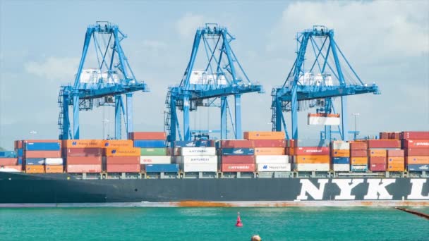 Nyk货运船与集装箱卸载由大蓝鹤在一个阳光明媚的加勒比日在科隆巴拿马 — 图库视频影像