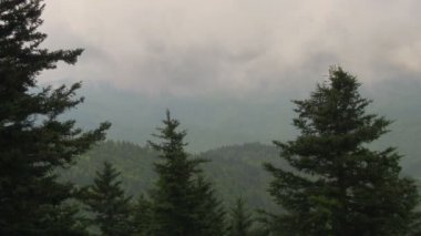 Fırtınalı Yazlar Günü'nde Blue Ridge Parkway Appalachian Dağları'nın bir görünümü. Batı Kuzey Carolina Asheville ve Waynesville arasında bir Overlook yakalanan.