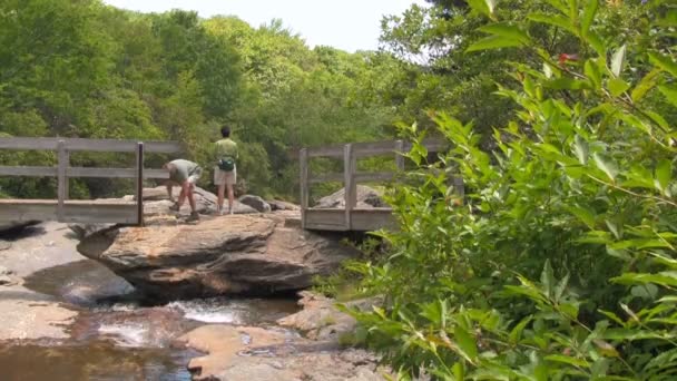 Two Hikers Stopping Graveyard Fields Trail Enjoying View Блю Ридж — стоковое видео