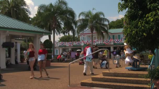 Orang Orang Mengunjungi Taman Petualangan Seaworld Orlando Florida Walking — Stok Video