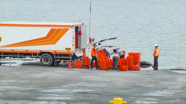 Peruwiańscy Rybacy Dokach Załadunek Ryb Pomarańczowych Skrzyń Zbliżenie Transportu Rynek — Wideo stockowe
