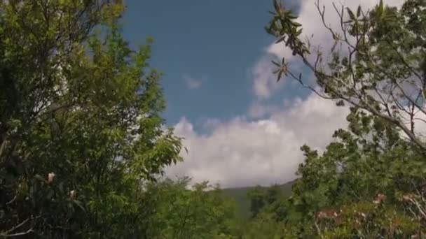 Câmera Inclina Para Baixo Uma Escada Madeira Vazia Trilha Campos — Vídeo de Stock