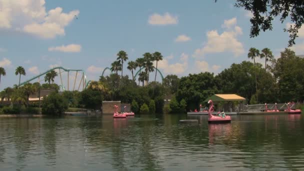 Personas Irreconocibles Pink Flamingo Paddle Boats Remando Alrededor Del Lago — Vídeos de Stock