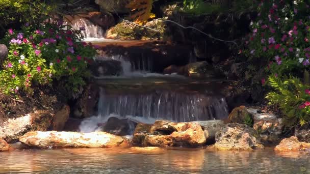 花に囲まれた人工の流れるガーデン滝 木に部分的に影を落とす — ストック動画