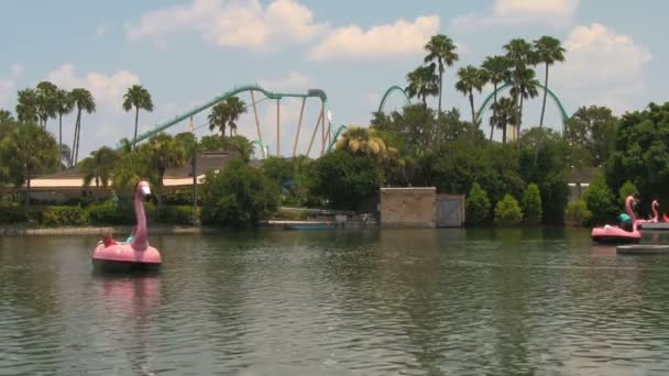 Lago Seaworld Adventure Park Orlando Florida Con Pink Flamingo Paddle — Vídeos de Stock
