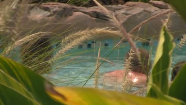 Close Shot Surrounding Tropical Foliage Unrecognizable Visitors Water Park Seen — Vídeo de Stock