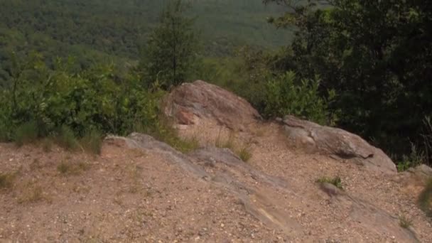 Tilting Sunny Day Blue Ridge Dağları Revealing Batı Kuzey Carolina — Stok video