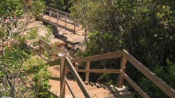 ウェスタンノースカロライナ州アッシュビルとウェインズビルの間のブルーリッジパークウェイの下の滝への墓地フィールドトレイルの木製階段 — ストック動画